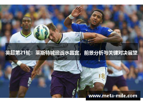 英超第21轮:莱斯特城迎战水晶宫,前景分析与关键对决展望 英超第21轮:莱斯特城迎战水晶宫,前景分析与关键对决展望