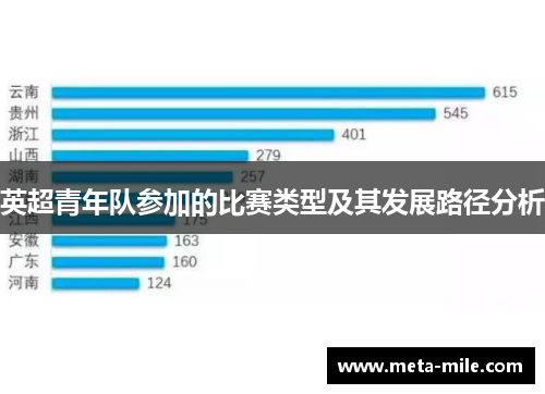 英超青年队参加的比赛类型及其发展路径分析 英超青年队参加的比赛类型及其发展路径分析