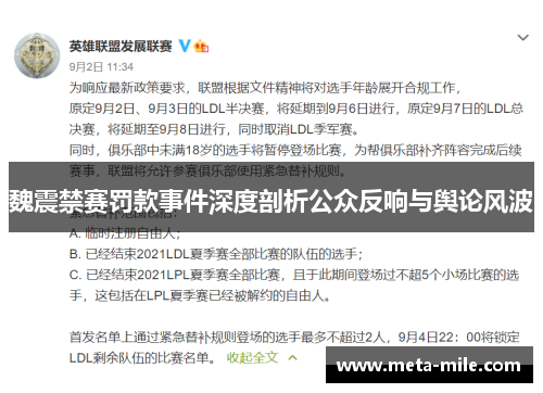 魏震禁赛罚款事件深度剖析公众反响与舆论风波 魏震禁赛罚款事件深度剖析公众反响与舆论风波